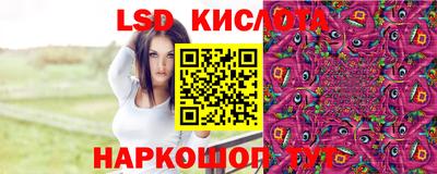 PSILOCYBIN Кулебаки
